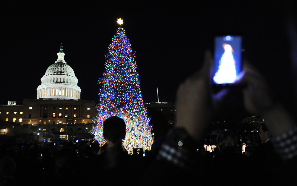 christmas lights_36.jpg